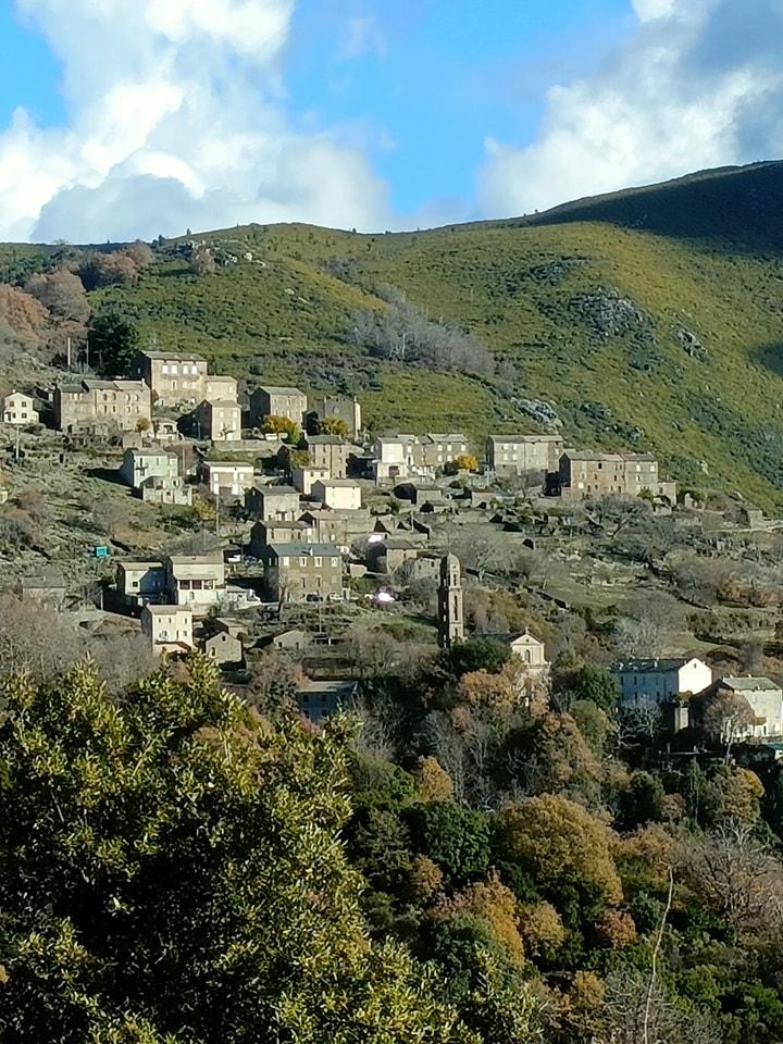 Pianellu